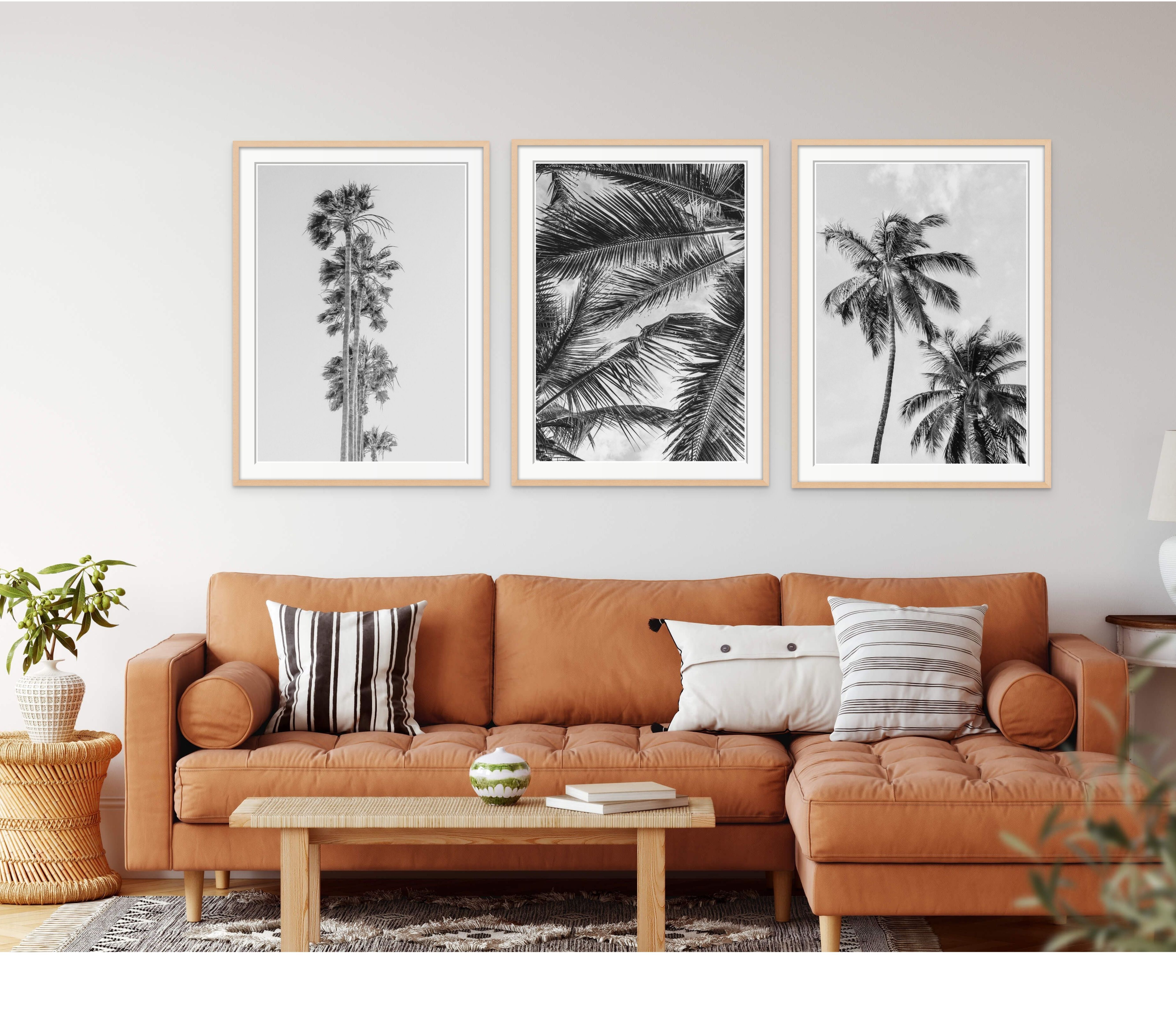 Palm Trees B/W 2